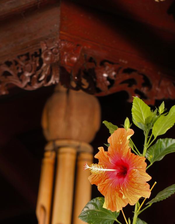 Mahogany Cottage Gili Meno Kültér fotó