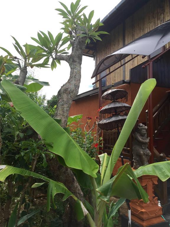 Mahogany Cottage Gili Meno Szoba fotó