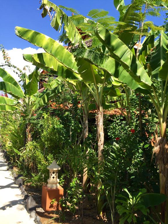 Mahogany Cottage Gili Meno Kültér fotó